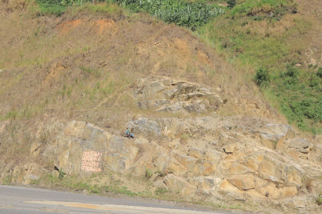 Real photo showing a child climbing down steep mountain terrain in the Rwenzori mountain ranges
